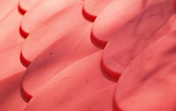 Clovenstone plastic roof costs